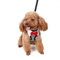 Elegante Peppita Designer Puppy Vest Arnés Soft Mesh Dog Pet Walking Arnés